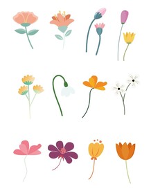 花枝