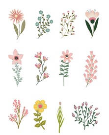 花枝