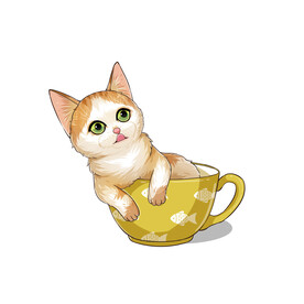 茶杯猫            