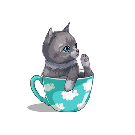 茶杯猫            