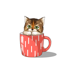茶杯猫            