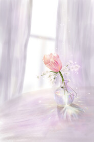 春季鲜花海报图片
