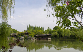 静静地湖面划过一只小鸭子