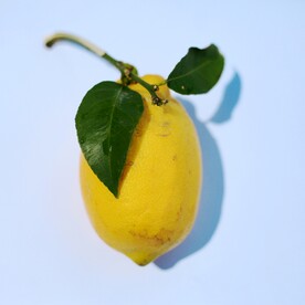 柠檬