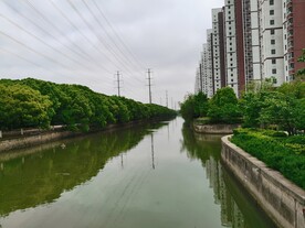 苏州小区路边风景