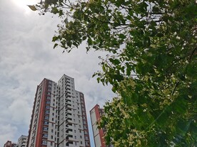 苏州小区路边风景