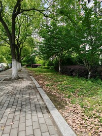 苏州小区路边风景