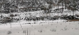 三门峡大雪结冰