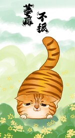 萌主猫            