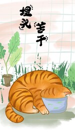 萌主猫            