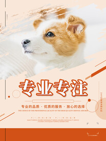 宠物海报