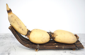 莲藕高清摄影图