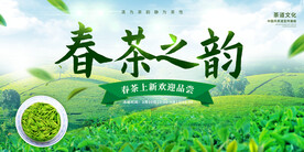 茶叶展板