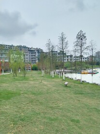 公园草地