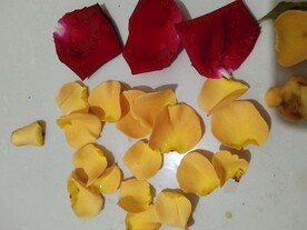 花瓣