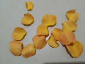 黄色花瓣