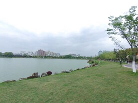 公园一角