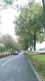 公园道路