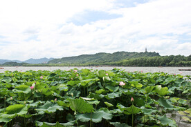 西湖美景