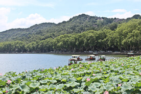 西湖美景