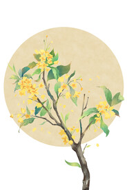   鲜花海报图片