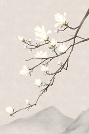 鲜花海报图片