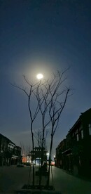  北杏夜景