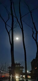  北杏夜景