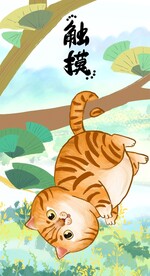 萌主猫            