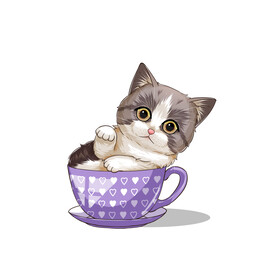 茶杯猫            