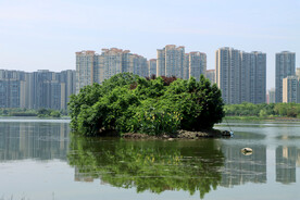 爱莲湖湖心岛