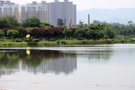 爱莲湖公园风光