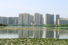 爱莲湖