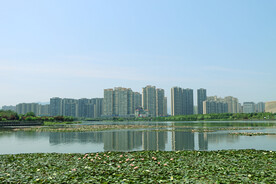 爱莲湖湿地公园风光