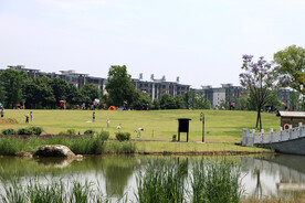 爱莲湖湿地公园草地