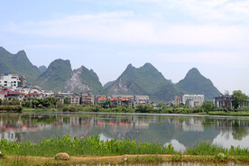 爱莲湖湿地公园风光