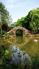 泥巴坨森林公园