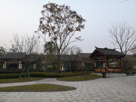 泥巴坨森林公园