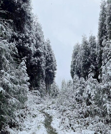 西昌木里县