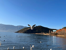 西昌邛海