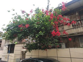 资阳社区整改