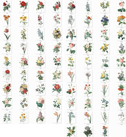 复古手绘植物花朵花型