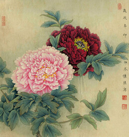 红芳