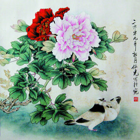 牡丹鸽子图