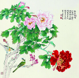 牡丹白头