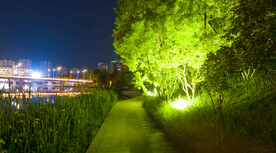 霓虹夜色小道高清大图