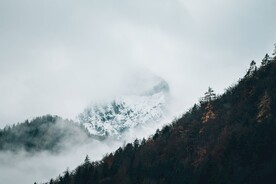 山