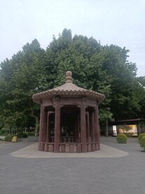 亭子