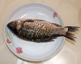 鲫鱼