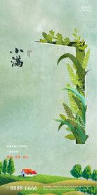 小满节气海报